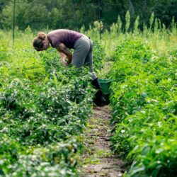 US-AGRICULTURE-FOOD
