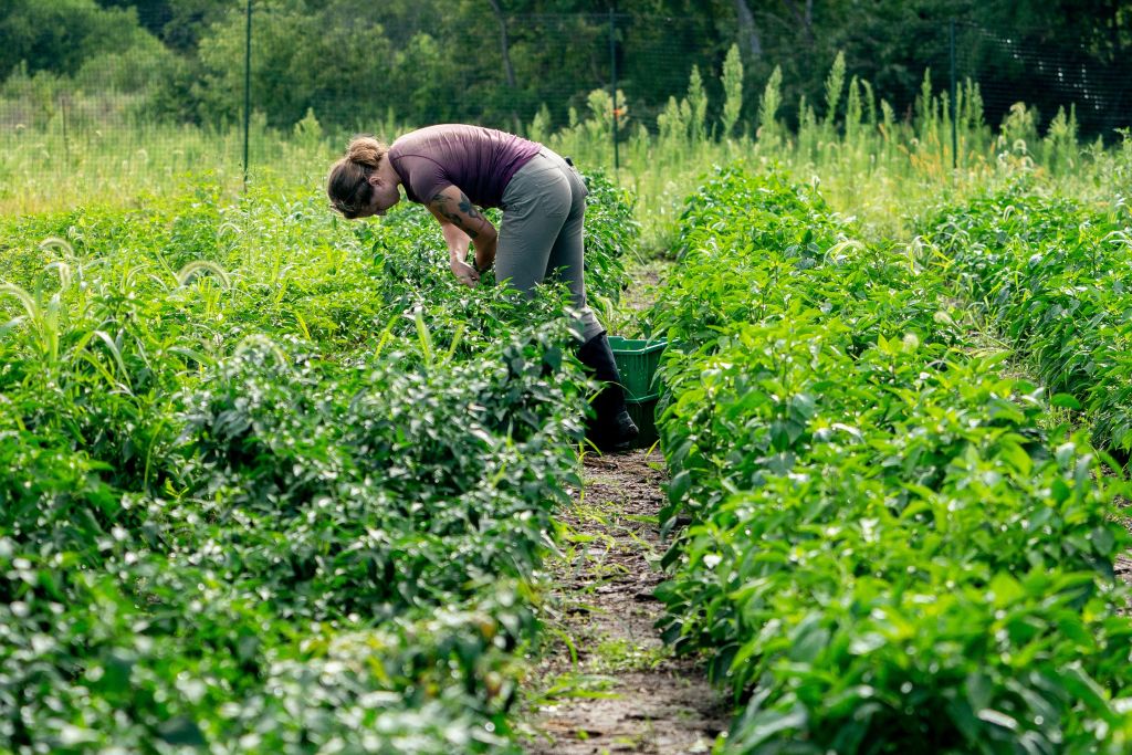 US-AGRICULTURE-FOOD